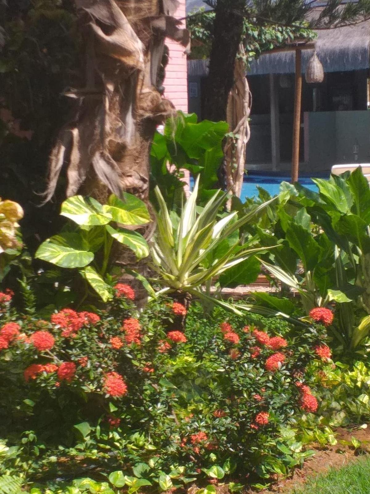 Chale Tulipa - Centro Praia Da Pipa Praia de Pipa Exterior foto